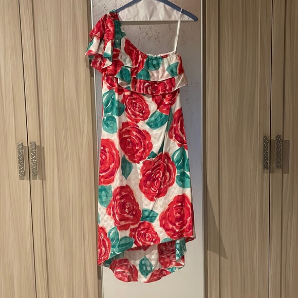 Vineyard Vines Dresses & Skirts - Vineyard vines Kentucky derby rose dress 8